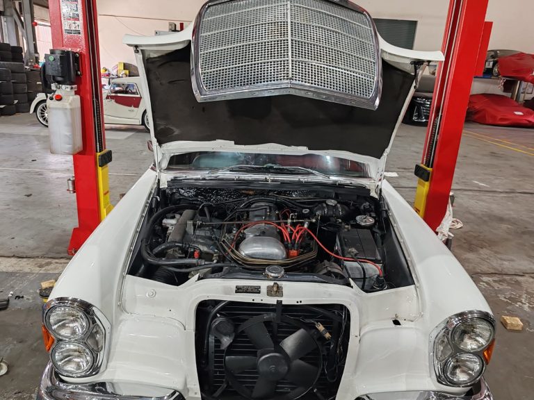 WhatsApp Image 2024-10-18 at 10.00.57 (1)